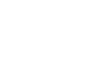 BidFX